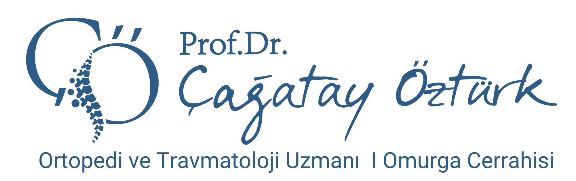 Prof. Dr. Çağatay Öztürk